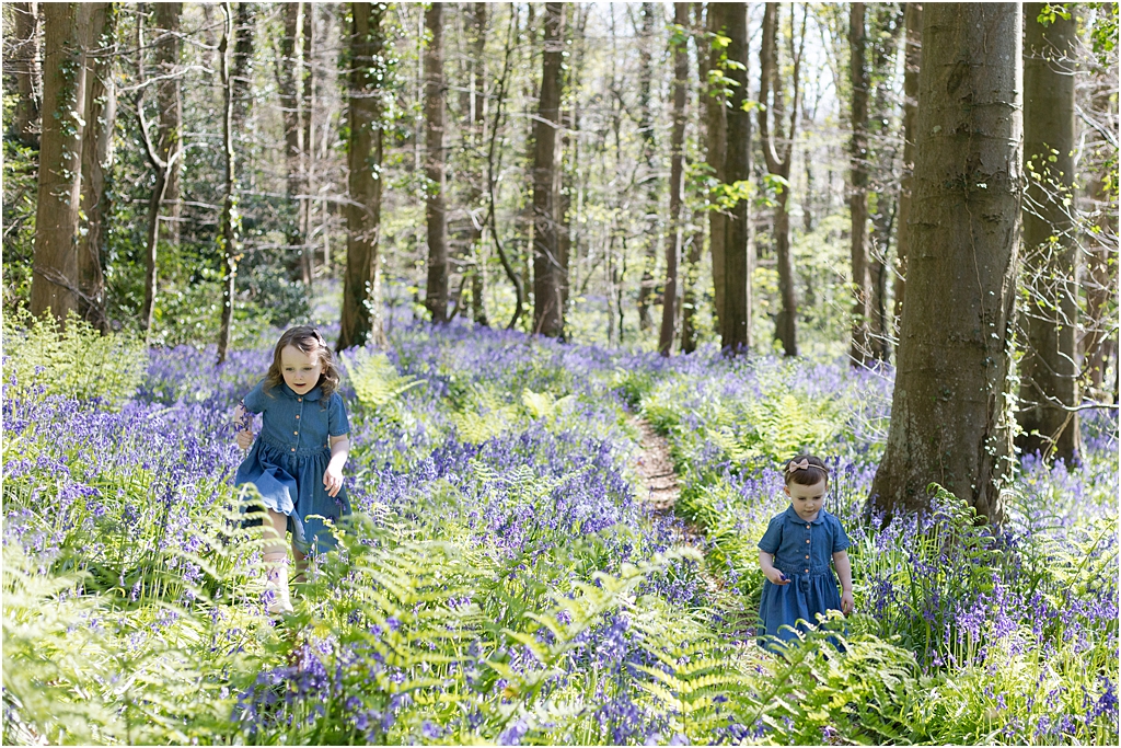 Family portrait Bluebell woods warrenpoint northern ireland photographer